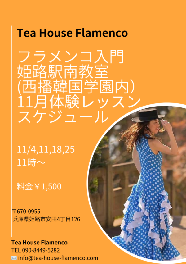 姫路駅南教室でフラメンコ体験レッスン開催!