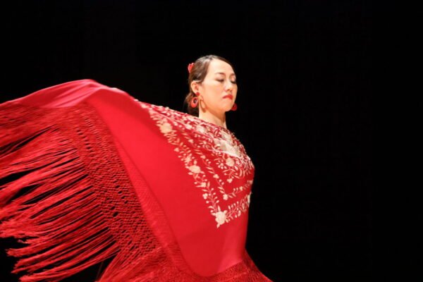 第9回異文化交流会の様子 炎